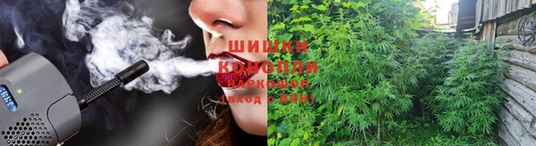 прущие крисы Ростов